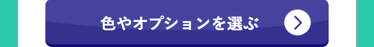 色やオプションを選ぶ