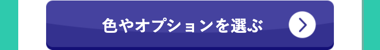 色やオプションを選ぶ