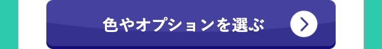 色やオプションを選ぶ