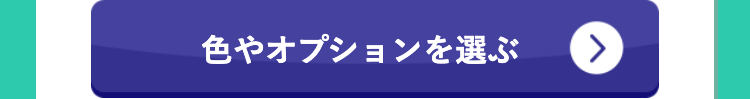 色やオプションを選ぶ
